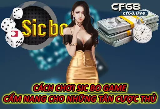 Cách Chơi Sic bo game – Cẩm Nang Cho Những Tân Cược Thủ