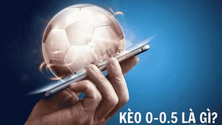 Kèo 0 0.5 là gì? Loại kèo 0 0.5 trong cá cược bóng đá?