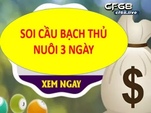 Nuôi lô bạch thủ khung 3 ngày theo đầu câm - đuôi câm