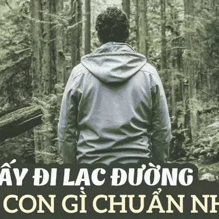 mơ thấy đi lạc đường cf68