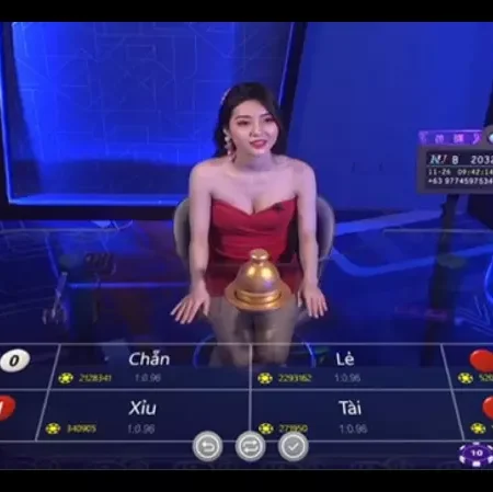 Đăng nhập ku casino – Nhà cái uy tín hàng đầu năm 2022