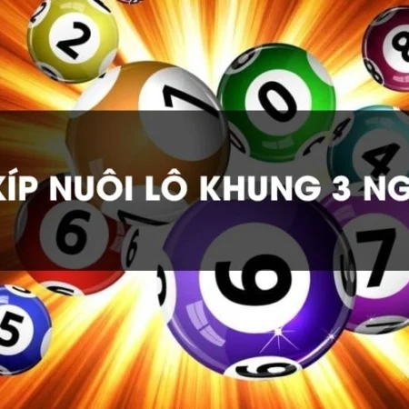 Nuôi lô cặp khung 3 ngày nhanh và hiệu quả nhất