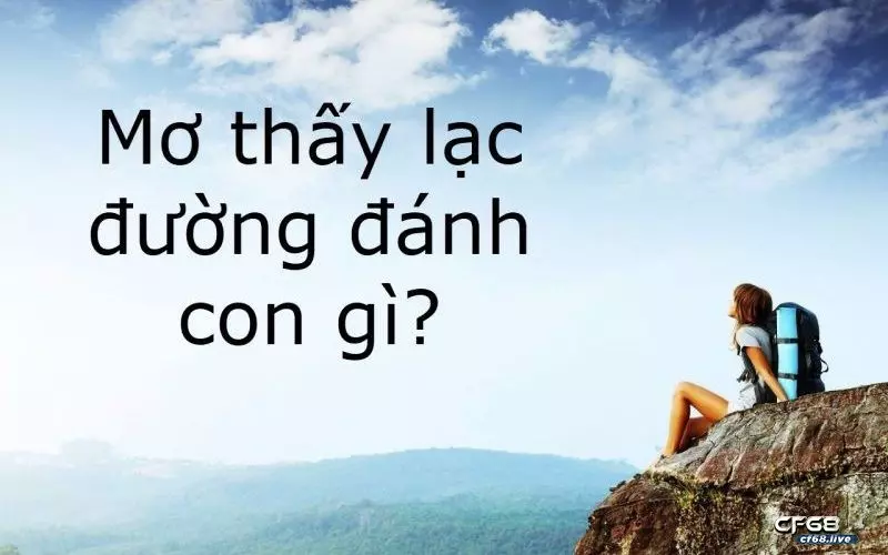 mơ đi lạc đường