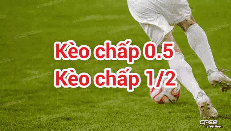 kèo chấp 0 0.5 là gì