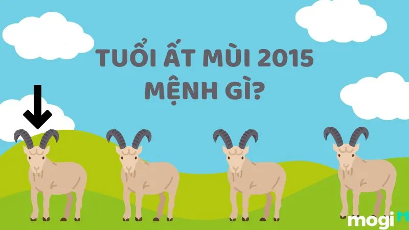 Sn 2015 mệnh gì? Tìm hiểu những điều cần biết với người sinh năm 2015