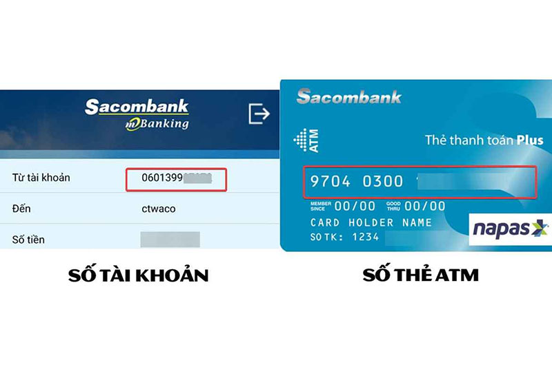 Số tài khoản sacombank nằm ở đâu ra sao? Phân biệt giwuax số tài khoản - số thẻ