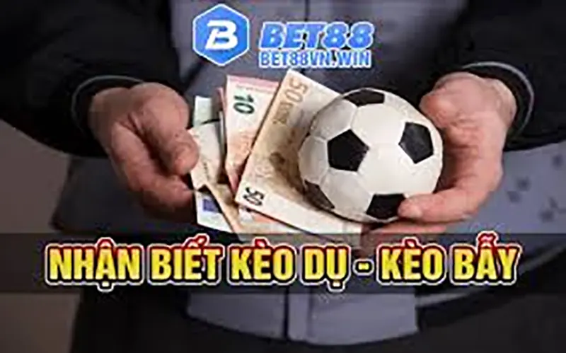 Kèo nhà cái bet88 cung cấp những thông tin hữu ích nhất cho người chơi