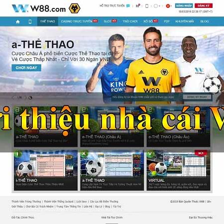 Trang web W88 có uy tín không? Thông tin chi tiết web W88