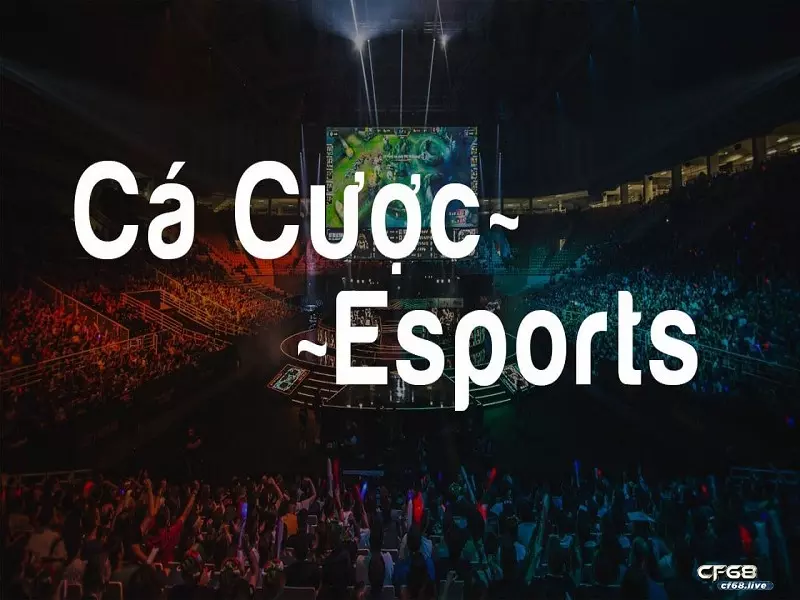 Phiên bản cá cược của esport