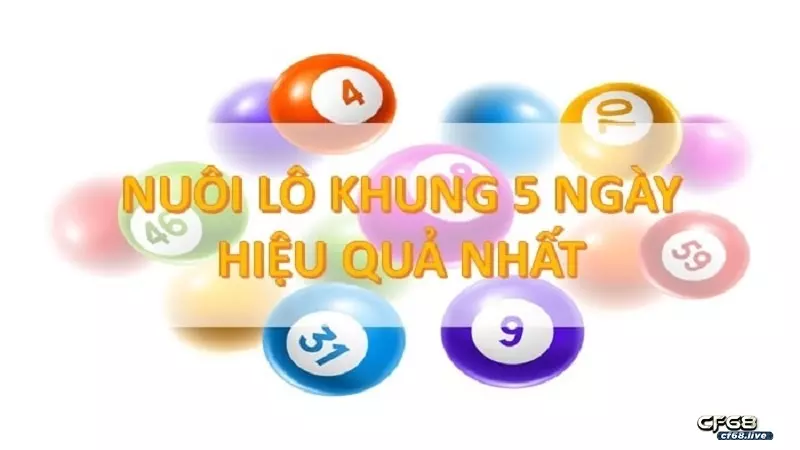 lô nuôi khung 5 ngày