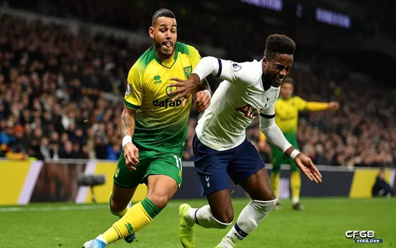 lịch sử đối đầu tottenham vs norwich