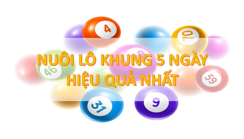 Nuôi khung 5 ngày là gì? Những cách để nuôi hiệu quả nhất