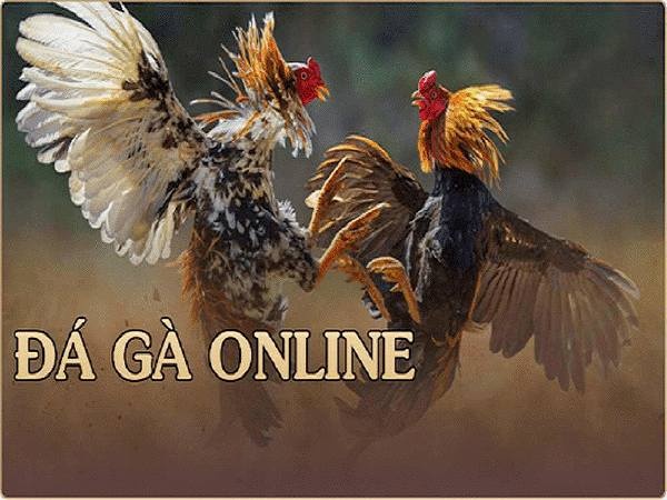 Game đá gà online – Cách chơi siêu hiệu quả tại CF68