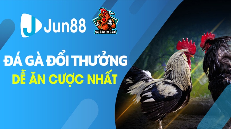 Đá gà online tại casino jun88 nhacaihangdau cực uy tín