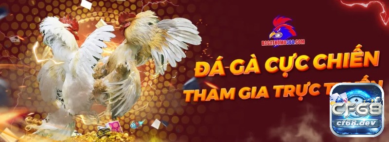 Tham gia chơi đá gà casino trực tuyến tại CF68