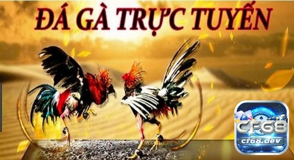 Đá gà casino trực tuyến được nhiều anh em tham gia chơi