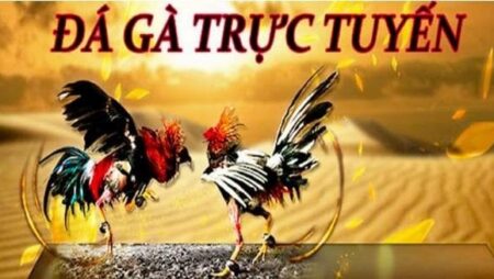 Đá gà casino trực tuyến tại Cf68 – Sân chơi uy tín chất lượng