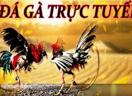 Đá gà casino trực tuyến tại Cf68 – Sân chơi uy tín chất lượng