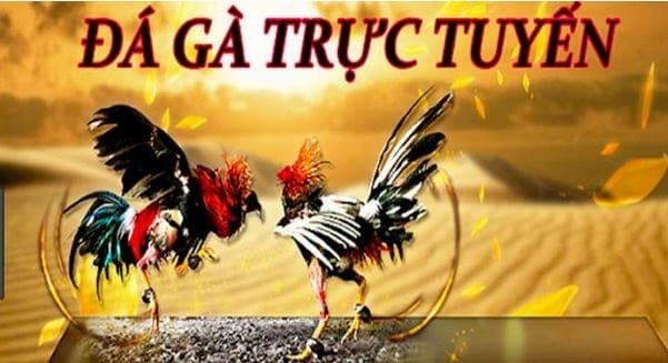 Đá gà casino trực tuyến tại Cf68 – Sân chơi uy tín chất lượng