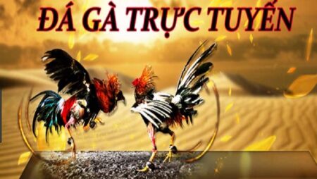 Game đá gà trực tiếp – hình thức giải trí cược lợi nhuận hấp dẫn