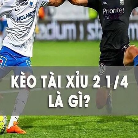 Tài xỉu 2 1 4 là gì? Khám phá chi tiết đọc kèo, chốt kèo hiệu quả