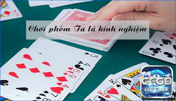 Bài phỏm là gì? Kinh nghiệm chơi bài phỏm hay nhất