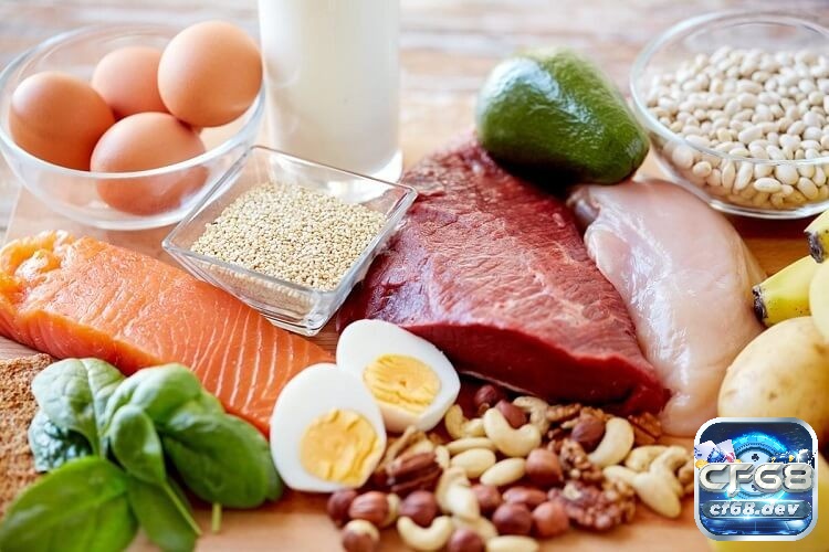 Thịt cá trứng sữa là nguồn protein giàu dinh dưỡng để giúp gà tăng cân nhanh