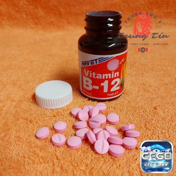 Vitamin B12 giúp gà hấp thụ tốt hơn