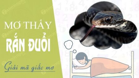 Mơ thấy rắn đuổi: Giải mã điềm báo giấc mơ chuẩn xác 100%