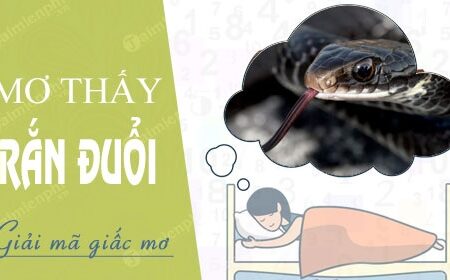 Mơ thấy rắn đuổi: Giải mã điềm báo giấc mơ chuẩn xác 100%