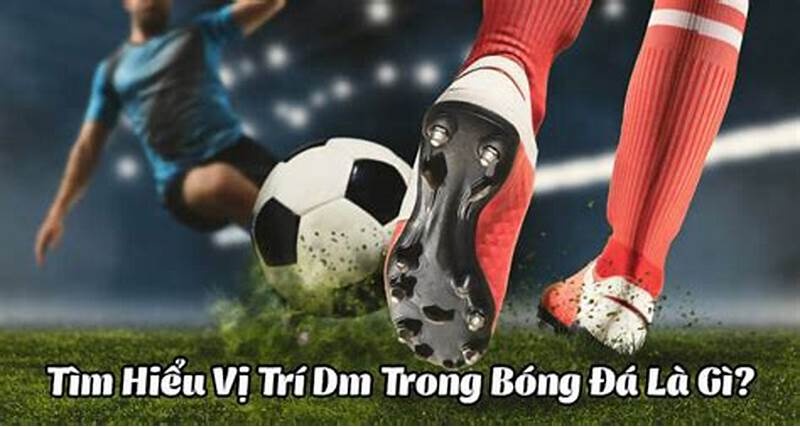 Dm trong bóng đá là gì? Vai trò, đặc điểm chi tiết của vị trí dm