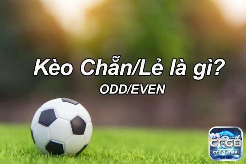 Kèo chẵn lẻ là gì? Hướng dẫn cược thủ đọc kèo cược chẵn lẻ